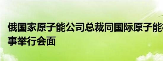 俄国家原子能公司总裁同国际原子能机构总干事举行会面
