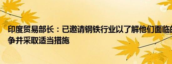 印度贸易部长：已邀请钢铁行业以了解他们面临的不公平竞争并采取适当措施