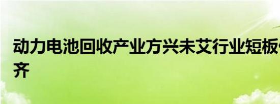 动力电池回收产业方兴未艾行业短板仍有待补齐