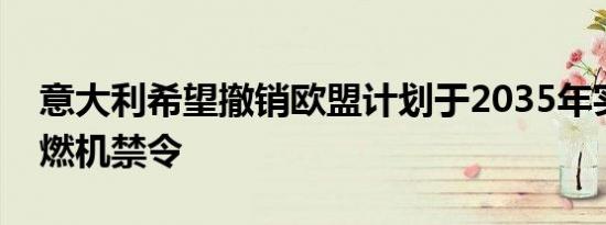 意大利希望撤销欧盟计划于2035年实施的内燃机禁令