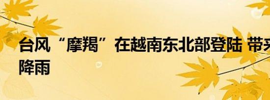 台风“摩羯”在越南东北部登陆 带来大范围降雨