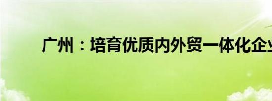 广州：培育优质内外贸一体化企业