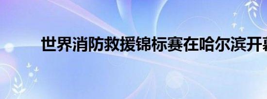 世界消防救援锦标赛在哈尔滨开幕