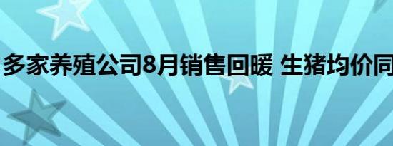 多家养殖公司8月销售回暖 生猪均价同比上涨