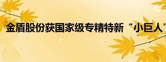金盾股份获国家级专精特新“小巨人”称号