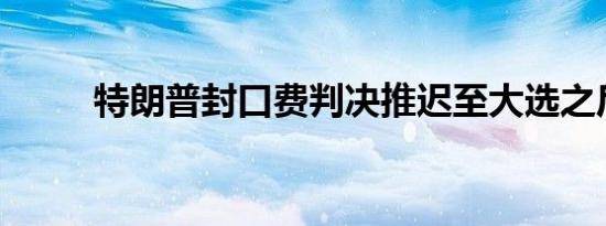特朗普封口费判决推迟至大选之后
