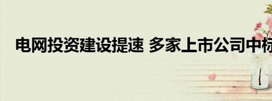 电网投资建设提速 多家上市公司中标大单
