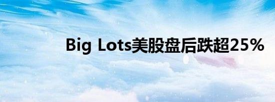 Big Lots美股盘后跌超25%