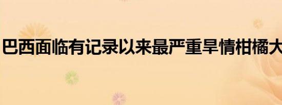 巴西面临有记录以来最严重旱情柑橘大幅减产