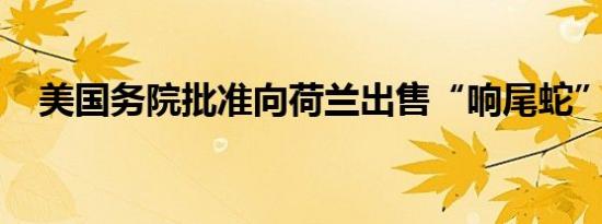 美国务院批准向荷兰出售“响尾蛇”导弹