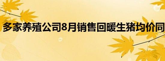 多家养殖公司8月销售回暖生猪均价同比上涨