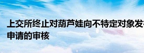 上交所终止对葫芦娃向不特定对象发行可转债申请的审核