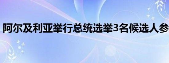 阿尔及利亚举行总统选举3名候选人参与角逐