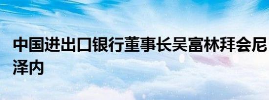 中国进出口银行董事长吴富林拜会尼日尔总理泽内