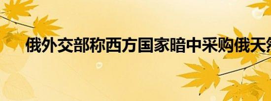 俄外交部称西方国家暗中采购俄天然气