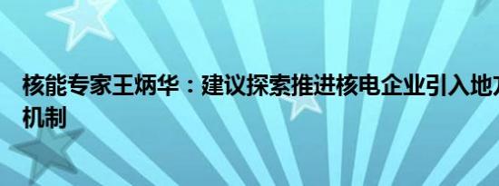 核能专家王炳华：建议探索推进核电企业引入地方资本参股机制