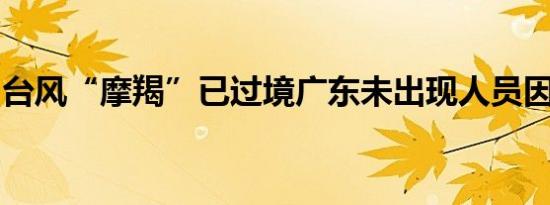 台风“摩羯”已过境广东未出现人员因灾伤亡