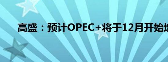 高盛：预计OPEC+将于12月开始增产