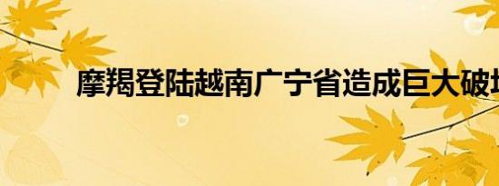 摩羯登陆越南广宁省造成巨大破坏