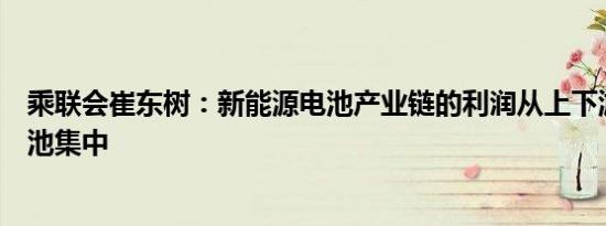 乘联会崔东树：新能源电池产业链的利润从上下游向中游电池集中