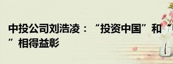 中投公司刘浩凌：“投资中国”和“中国投资”相得益彰