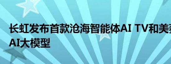 长虹发布首款沧海智能体AI TV和美菱智汇家AI大模型