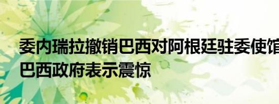 委内瑞拉撤销巴西对阿根廷驻委使馆代表权 巴西政府表示震惊
