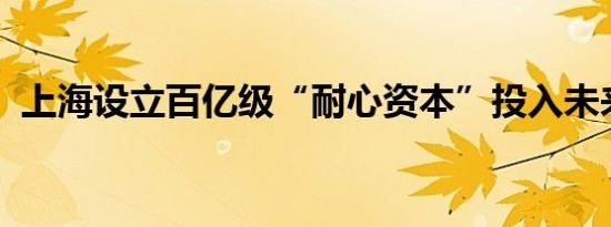 上海设立百亿级“耐心资本”投入未来产业