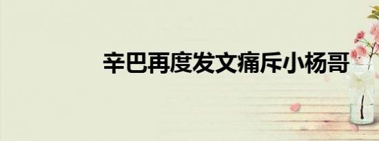 辛巴再度发文痛斥小杨哥