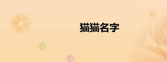 猫猫名字