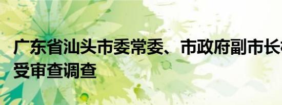 广东省汕头市委常委、市政府副市长林锐武接受审查调查