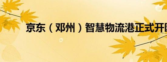 京东（邓州）智慧物流港正式开园