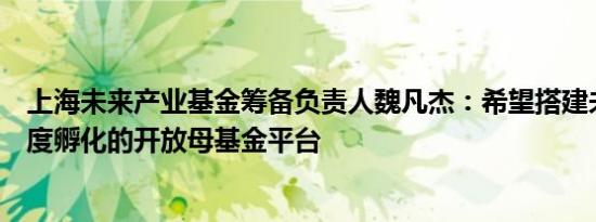 上海未来产业基金筹备负责人魏凡杰：希望搭建未来产业深度孵化的开放母基金平台