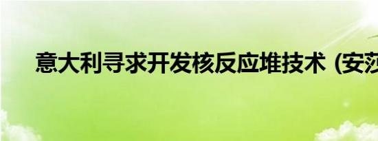 意大利寻求开发核反应堆技术 (安莎社)