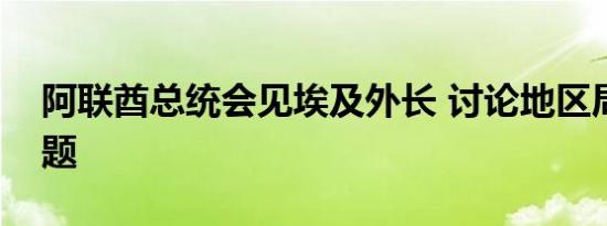 阿联酋总统会见埃及外长 讨论地区局势等问题