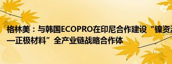 格林美：与韩国ECOPRO在印尼合作建设“镍资源—前驱体—正极材料”全产业链战略合作体