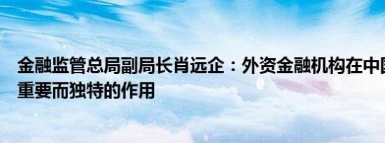金融监管总局副局长肖远企：外资金融机构在中国将能发挥重要而独特的作用