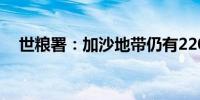 世粮署：加沙地带仍有220万人急需援助