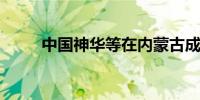 中国神华等在内蒙古成立电力公司