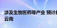 涉及生物医药等产业 预计超3300亿投资落地云南