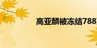 高亚麟被冻结788万股权