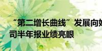 “第二增长曲线”发展向好 科创板新材料公司半年报业绩亮眼