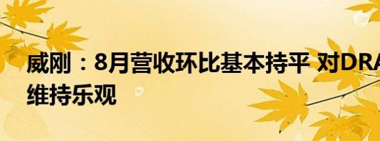 威刚：8月营收环比基本持平 对DRAM市况维持乐观