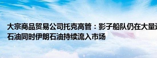 大宗商品贸易公司托克高管：影子船队仍在大量运输俄罗斯石油同时伊朗石油持续流入市场