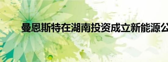曼恩斯特在湖南投资成立新能源公司