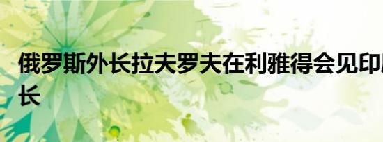 俄罗斯外长拉夫罗夫在利雅得会见印度外交部长