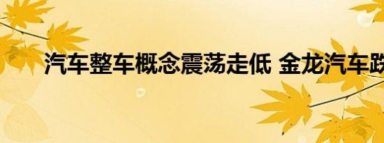 汽车整车概念震荡走低 金龙汽车跌停