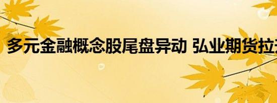 多元金融概念股尾盘异动 弘业期货拉升涨停