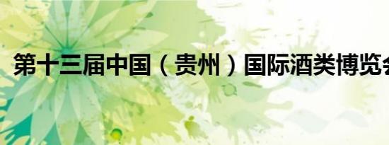 第十三届中国（贵州）国际酒类博览会开幕