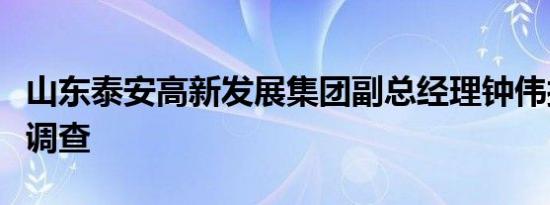 山东泰安高新发展集团副总经理钟伟接受审查调查